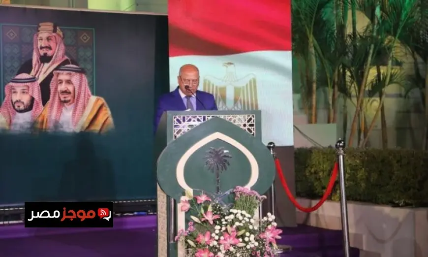 نائب رئيس مجلس الوزراء يؤكد أن العلاقة المميزة بين مصر والسعودية تعكس خصوصيتهما التاريخية