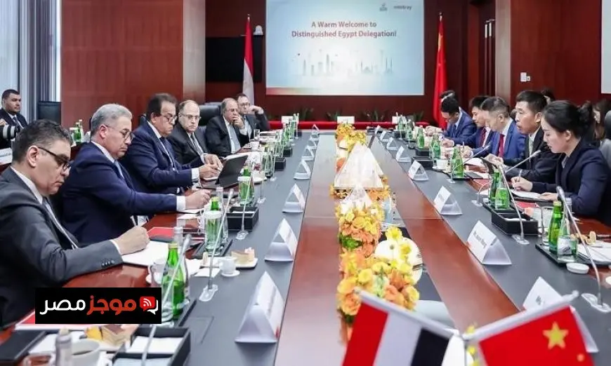 وزير الصحة يستعرض مع شركة ميندراي فرص تصنيع الأجهزة الطبية محليًا بالصور