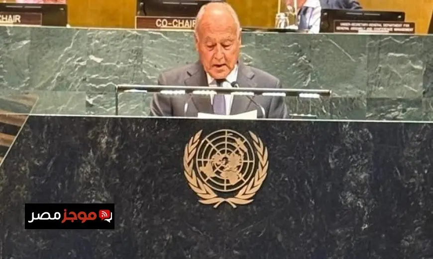 أبو الغيط يدعو الدول المعترفة بفلسطين لتحمل مسؤولية حماية الفلسطينيين