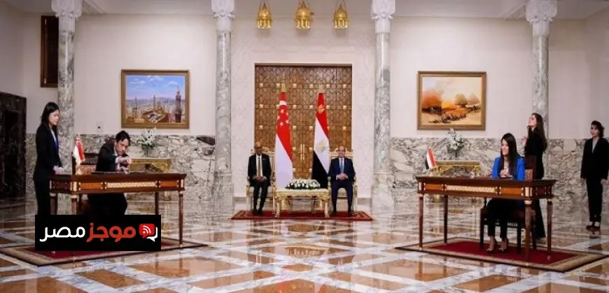 المشاط: مصر إحدى أهم الدول التي تربطها علاقات تاريخية ودبلوماسية مع سنغافورة