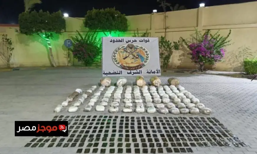 القوات المسلحة تعزز جهودها في جميع الاتجاهات الاستراتيجية لدعم أمن الدولة