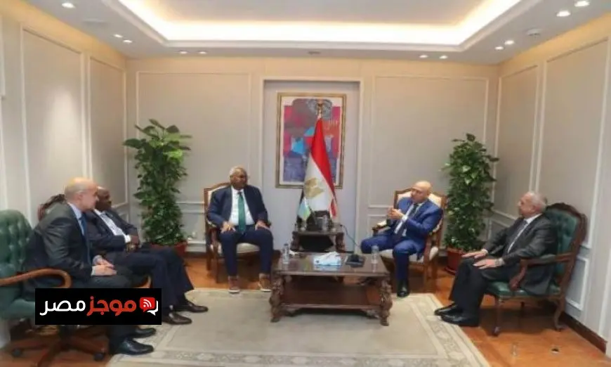 مصر تؤكد التزامها بدعم جهود التنمية في جيبوتي حسب تصريحات كامل الوزير