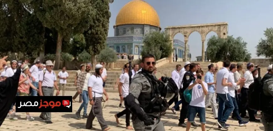 مستوطنون يقتحمون بلدة “طمون” جنوب طوباس.. وحملة اعتقالات فى نابلس وقلقيلية