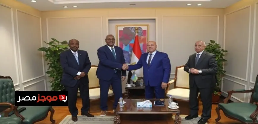مصر وجيبوتى تبحثان تدعيم التعاون المشترك فى مجالى النقل والصناعة