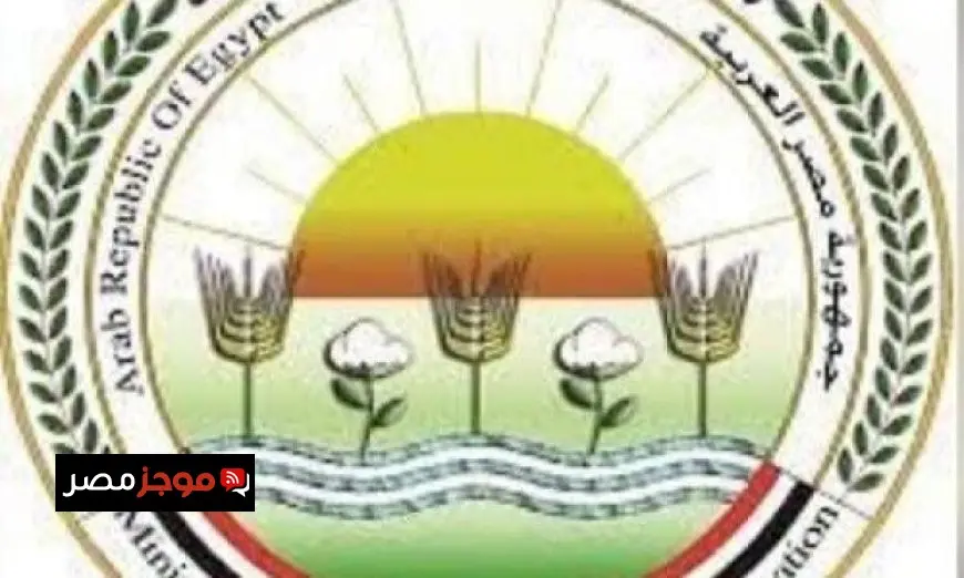 الزراعة تنفي الشائعات عن طماطم ملوثة بمادة الإيثريل في الأسواق