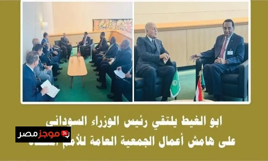 أبو الغيط يؤكد التزام الجامعة العربية بالحفاظ على سيادة السودان ووحدته