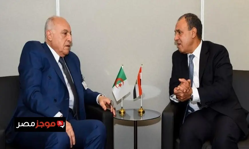 وزير الخارجية يشدد على أهمية اجتماعات الآلية الثلاثية لدول الجوار الليبي لتعزيز التعاون الأمني والسياسي