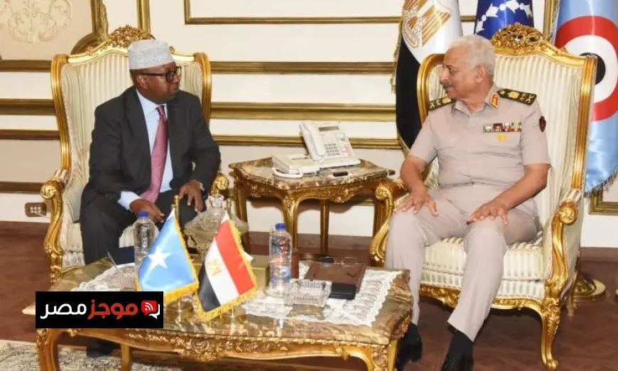 وزير الدفاع يتناول مع نظيره الصومالي سبل تعزيز التعاون العسكري في فيديو متميز