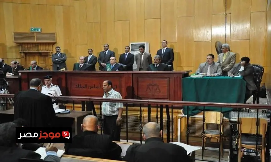 محكمة الجنايات تنزل أحكاما بالسجن المشدد على 17 متهمًا وتفرض غرامات بقيمة 1.65 مليون جنيه