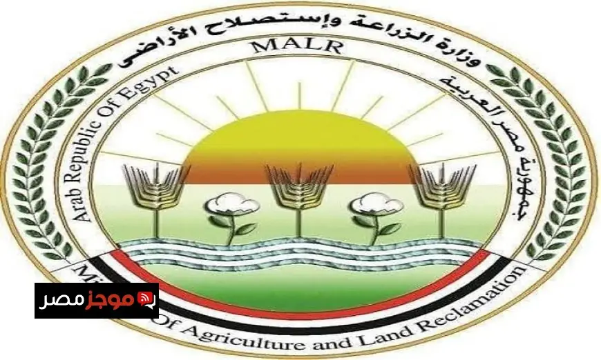 الزراعة تحذر من دعوات الامتناع عن إطعام الكلاب الضالة مخالفة للشرع والقانون