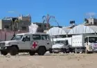 إسرائيل تستلم جثماني رهينتين في غزة من الصليب الأحمر