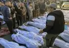 استشهاد 9 فلسطينيين بنيران الاحتلال و وصولهم إلى مستشفيات غزة منذ منتصف الليل