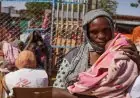 الأمم المتحدة تدعو إلى إنشاء ممر آمن للمدنيين في مدينة الفاشر السودانية