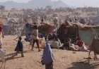الأمم المتحدة تطالب بوقف فوري لإطلاق النار في الفاشر بالسودان