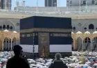 شؤون الحرمين تعلن عن أداء أكثر من 11.7 مليون عمرة في شهر ربيع الآخر