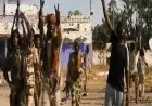 الاتحاد الإفريقي يدين انتهاكات حقوق الإنسان وجرائم الحرب في الفاشر بالسودان