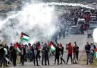 الوطني الفلسطيني يندد بإعدام الاحتلال الإسرائيلي في جنين ويؤكد على ضرورة محاسبة الجناة