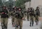 مقاومة الجدار الفلسطينية تسجل 259 اعتداء على قاطفي الزيتون منذ بداية الموسم