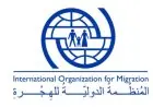 مديرة المنظمة الدولية للهجرة تُنبه إلى تزايد العنف والاضطرابات في الفاشر