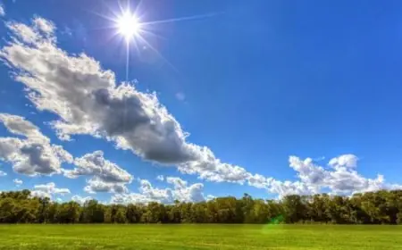 موجة حرارة معتدلة في الصباح وحارة خلال النهار على معظم المناطق اليوم