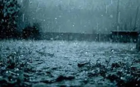 تساقط أمطار غزيرة في منطقة أوديسا الأوكرانية يؤدي إلى مصرع 9 أشخاص