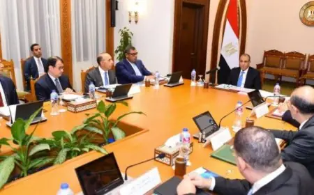 عبد العاطي يقود اجتماع مجلس إدارة الوكالة المصرية للشراكة من أجل التنمية لتحفيز المشاريع المستقبلية