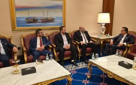 مصر ولبنان تعززان الشراكة الصحية خلال القمة العالمية للصحة النفسية