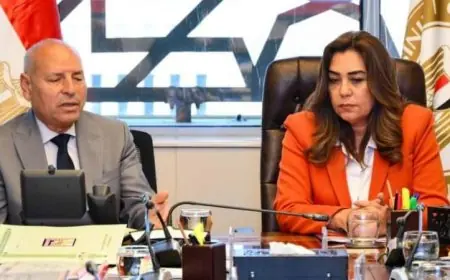 عوض تتعاون مع محافظ القاهرة لتنفيذ خطة النقل الآمن لمجزر البساتين إلى 15 مايو