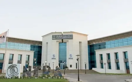 القومي للاتصالات يكشف عن تأثير خدمات الاتصالات في مناطق القاهرة