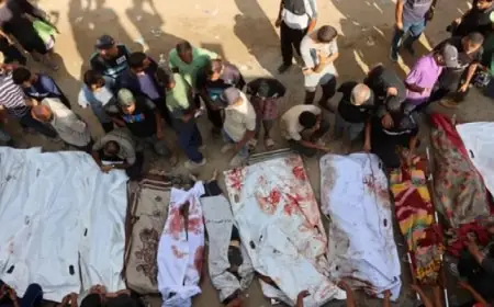 استشهاد 23 شخصًا جراء قصف الاحتلال وإطلاق النار على مناطق متعددة في قطاع غزة