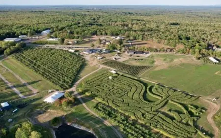 مزرعة تحصد جائزة أفضل متاهة محصول ذرة في أمريكا للعام الرابع على التوالي