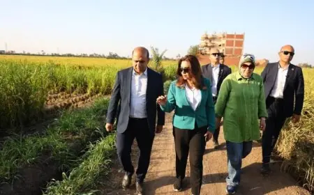 د.منال عوض تقوم بجولة مفاجئة لتوجيه جهود جمع قش الأرز وعدم حرقه للاستفادة القصوى منه