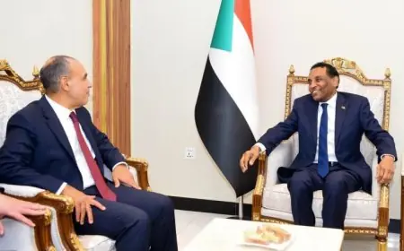 وزير الخارجية يؤكد دعم مصر للجهود المستمرة للحكومة السودانية لاستعادة الاستقرار