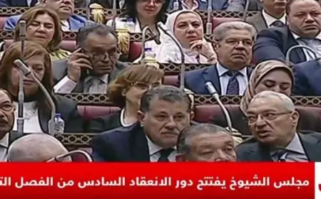 مجلس الشيوخ يبدأ دور الانعقاد السادس بالفصل التشريعي الأول لتعزيز التشريعات الجديدة