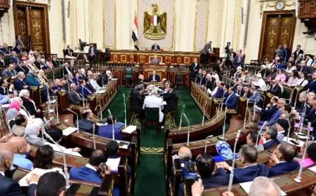 انطلاق الجلسة العامة لمجلس النواب برئاسة المستشار الدكتور حنفي جبالي