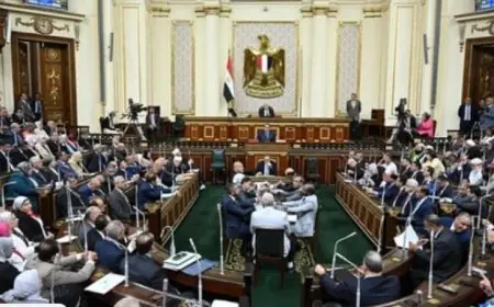 النواب يقررون تشكيل لجنة لدراسة اعتراضات الرئيس على بنود قانون الإجراءات الجنائية