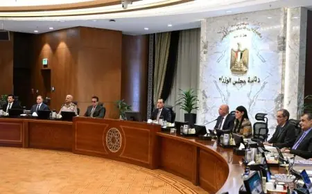 الموافقة على تعديل اللائحة التنفيذية لقانون تنظيم الجامعات خطوة نحو تحسين التعليم العالي