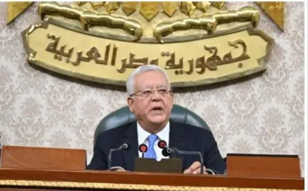 جبالى يؤكد أن تمسك الرئيس السيسي بصلاحياته الدستورية يعكس قوة الديمقراطية في مصر