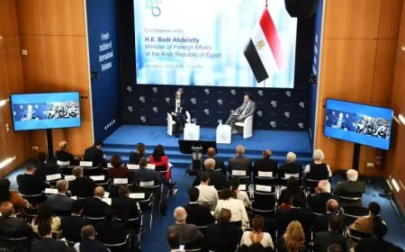 وزير الخارجية يتحدث في جلسة حوارية بم institute الفرنسي للعلاقات الدولية