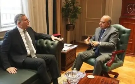 وزير الكهرباء والبترول يعكفان على تطوير مشروعات الطاقة المتجددة وتقليل الانبعاثات الكربونية