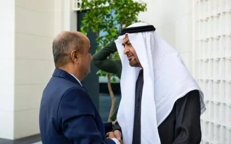 رئيس الإمارات يلتقي مع رئيس الوزراء اليمني لتعزيز العلاقات الثنائية بين البلدين