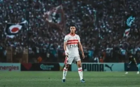 شحاتة وأوشينج يتواجدان في المدرجات لدعم الزمالك في مواجهة الأهلي