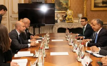 وزير الخارجية يناقش قضايا هامة مع نظيره الفرنسي في باريس