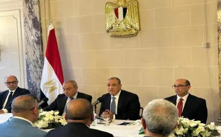 وزير الخارجية والهجرة يجتمع مع الجالية المصرية في باريس لتعزيز العلاقات والتعاون
