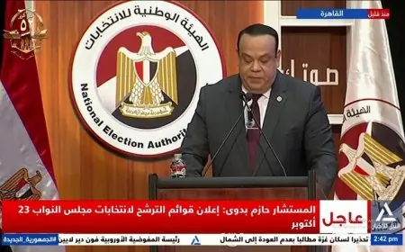 انطلاق المرحلة الأولى لانتخابات النواب خارج مصر في 7 نوفمبر وداخلها في 10 نوفمبر