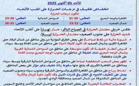 الأرصاد الجوية تتوقع انخفاض طفيف في درجات الحرارة غدا مع نشاط للرياح والعظمى في القاهرة تصل إلى 31 درجة