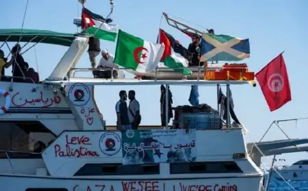 تركيا تستقبل 137 ناشطًا من أسطول الصمود في طريقهم إلى إسطنبول