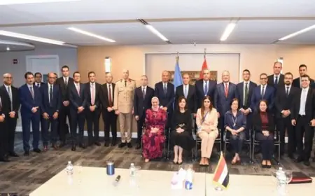 عبد العاطى يؤكد أن وزارة الخارجية المصرية هي خط الدفاع الأول عن المصالح الوطنية