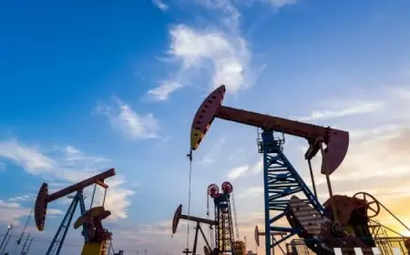 مجلس الأمن يبحث زيادة الاستيطان في الضفة الغربية ويؤكد على ضرورة وقف إطلاق النار الفوري في غزة