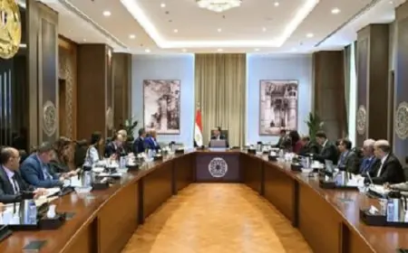 مدبولي يشدد على أهمية مشروعات النقل الجماعي الأخضر المستدام الصديقة للبيئة الجارية حاليًا